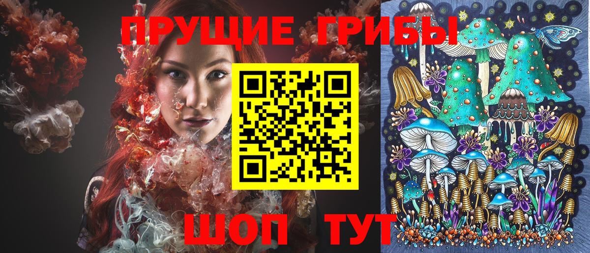 Ливны  Галлюциногенные грибы Psilocybe  Вход с VPN  Псилоцибиновые грибы Psilocybine cubensis 
